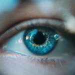 Taller "Equilibra tu visión", domingo 1 de junio 2025 en Aracena, Huelva.